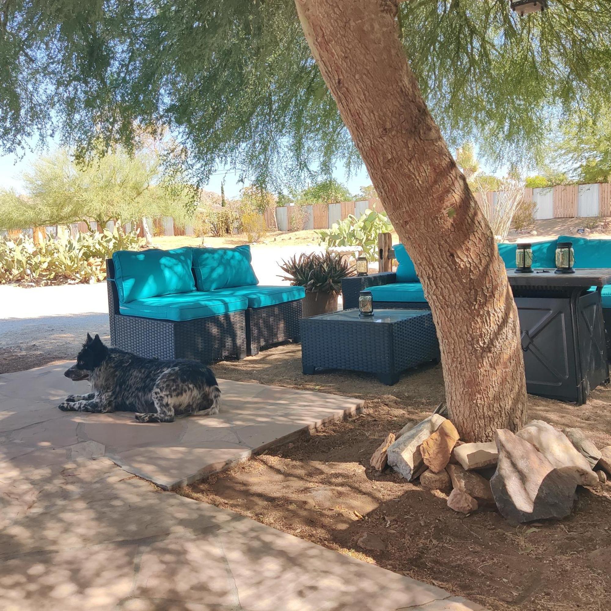 Joshua Tree Ranch House Motel - Downtown - Room #8 Εξωτερικό φωτογραφία